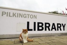 Charlie the Loughborough Cat